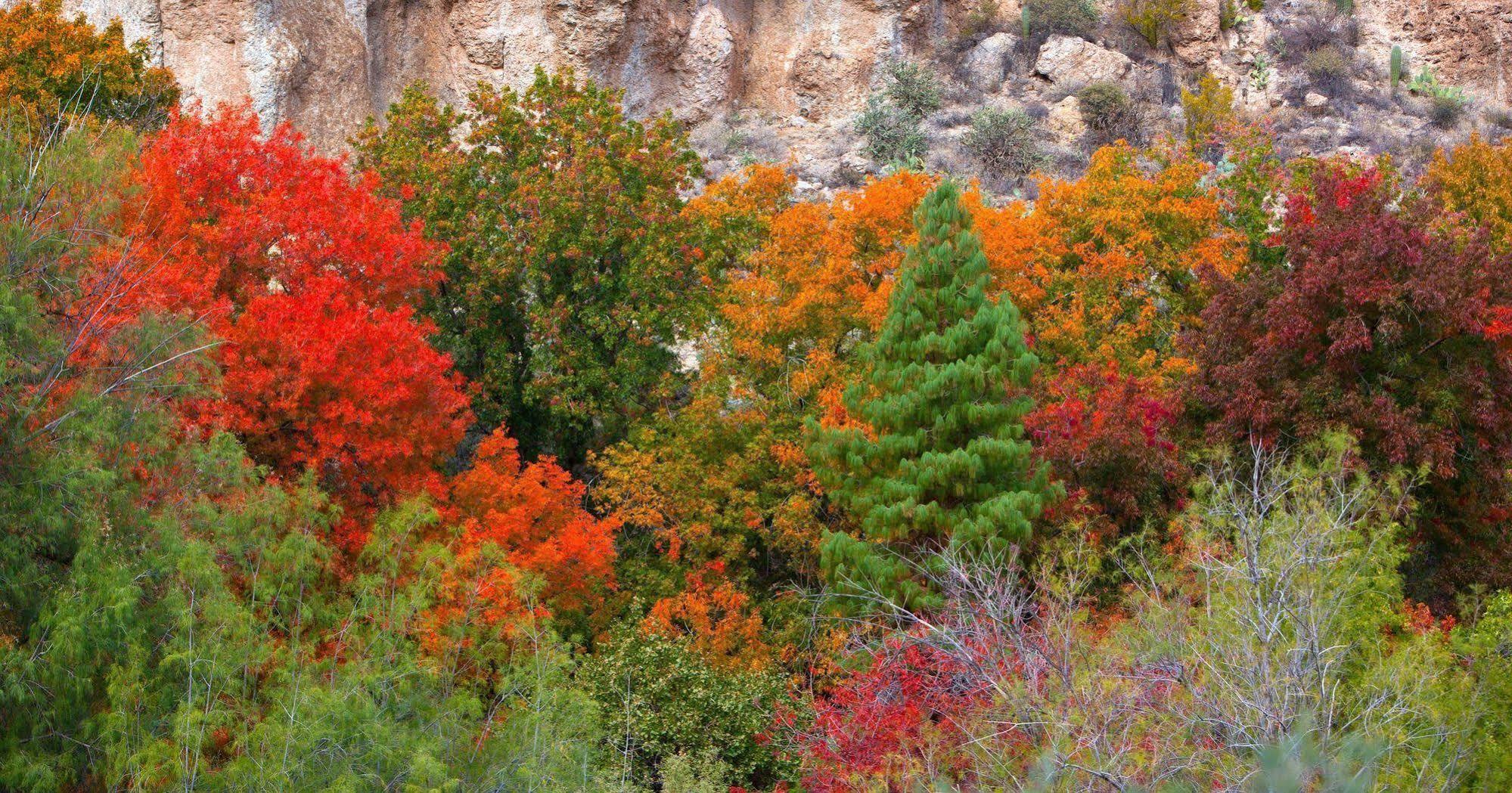 Holiday Inn Express Sedona - Oak Creek By Ihg Buitenkant foto